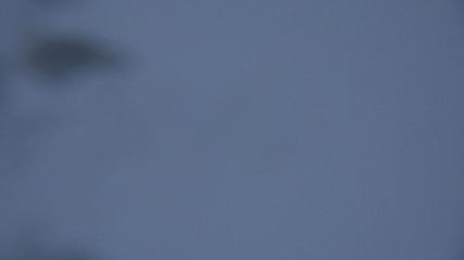 Image du rapport d'utilisateur dans Davos Parsenn