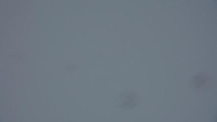 Davos Parsenn: Blick gotschna (davos.ch)