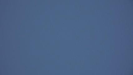 Davos Parsenn: Blick gotschna (davos.ch)