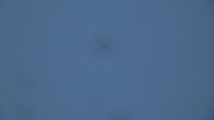 Davos Parsenn: Blick gotschna (davos.ch)