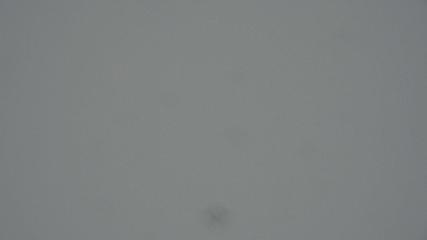 Davos Parsenn webcam