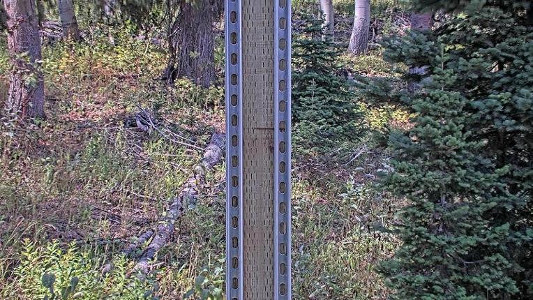 Webcam Deer Valley: Snow Stake