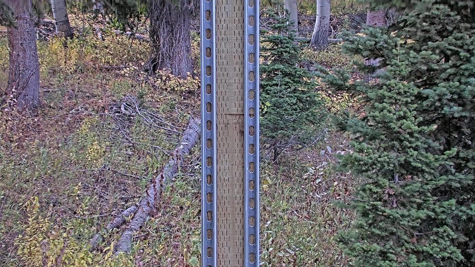 Webcam Deer Valley: Snow Stake