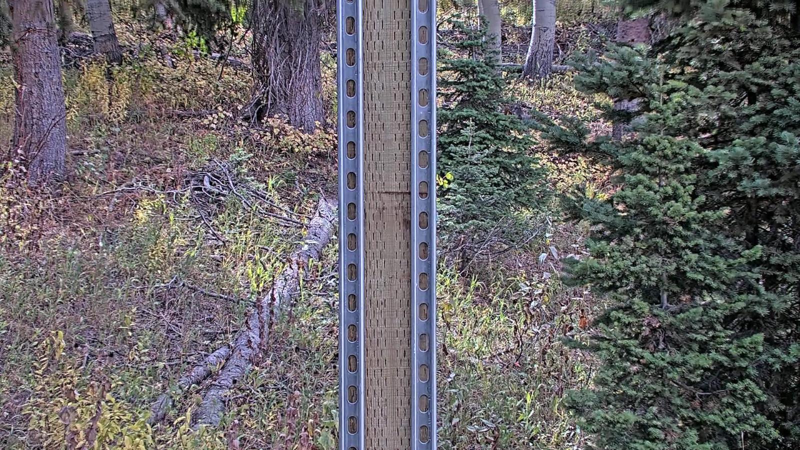 Webcam Deer Valley: Snow Stake