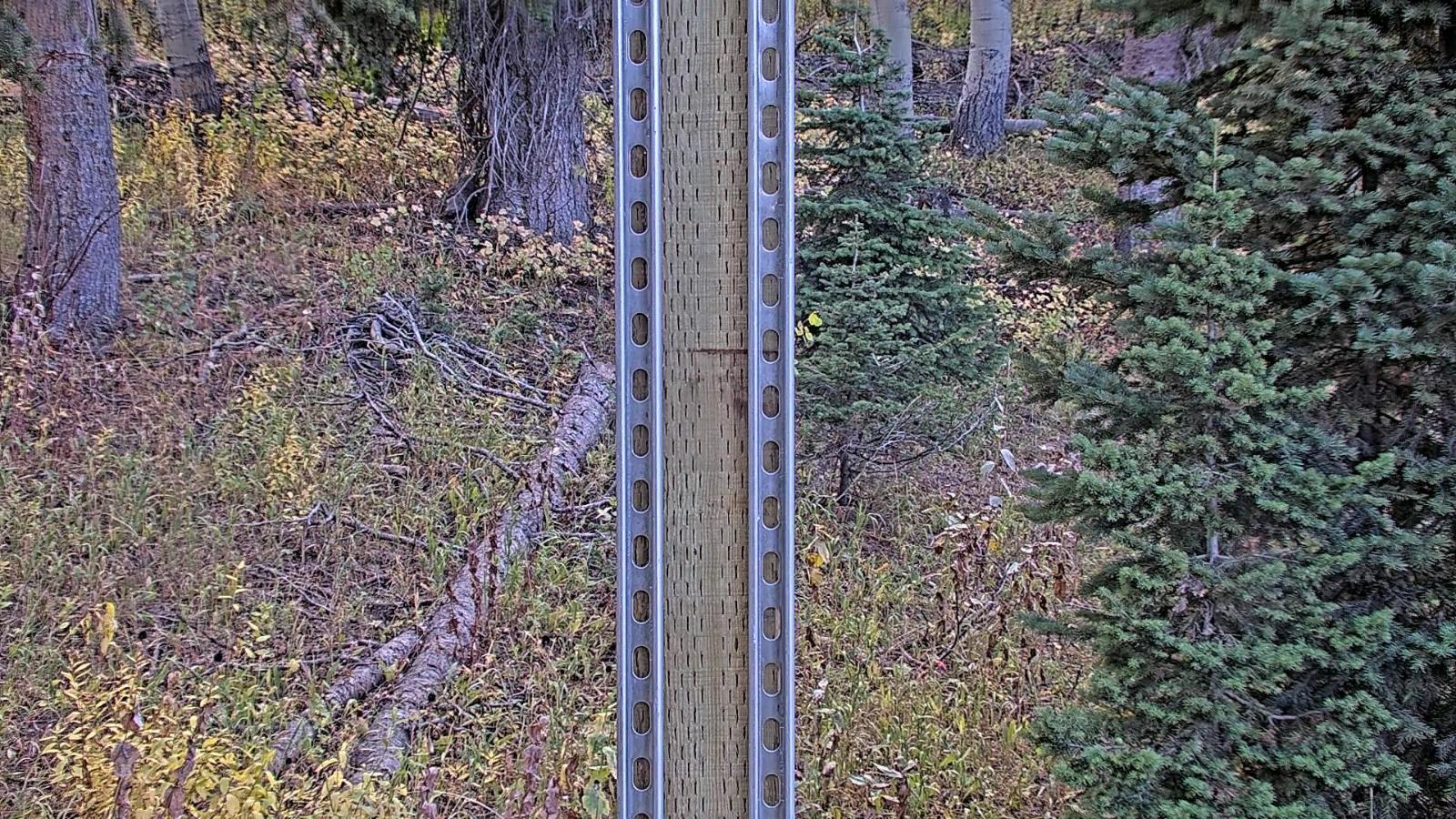 Webcam Deer Valley: Snow Stake