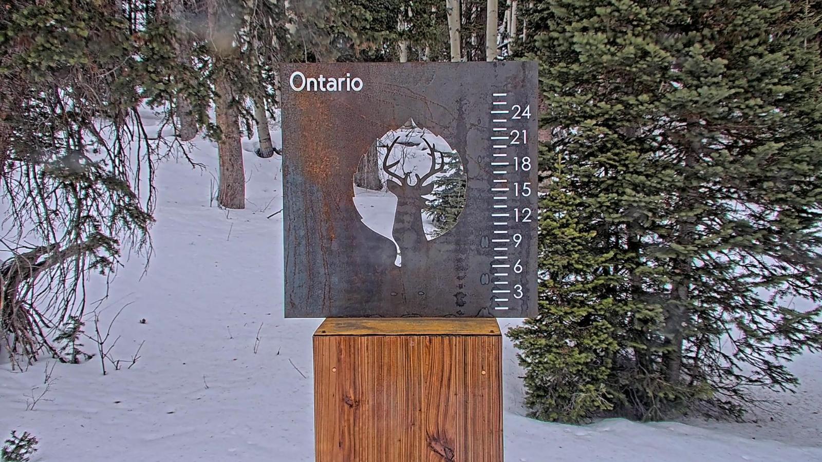 Webcam Deer Valley: Snow Stake