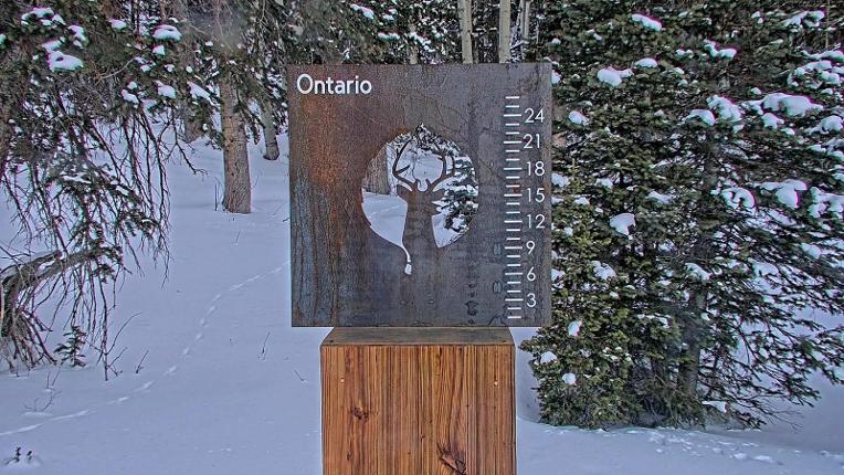 Webcam Deer Valley: Snow Stake