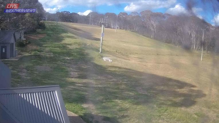 Webcam Dinner Plain: Dinner Plain