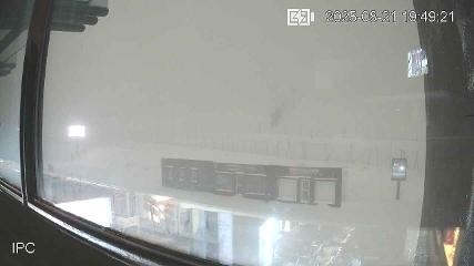 Imagen de informe de usuario en El Colorado