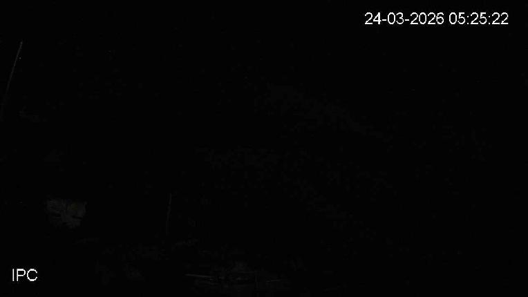 Webcam El Colorado: El Mirador