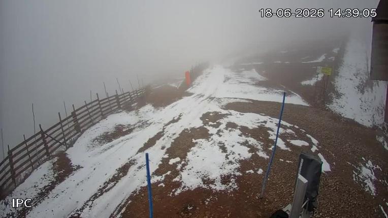 Webcam El Colorado: Liebre Base
