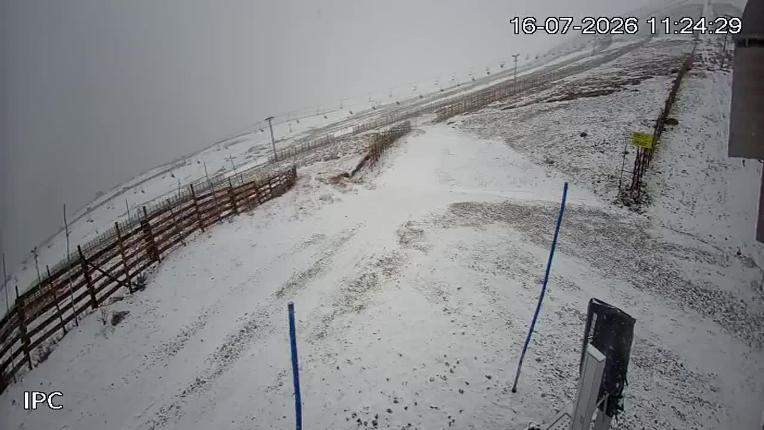 Webcam El Colorado: Liebre Base