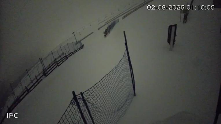 Webcam El Colorado: Liebre Base
