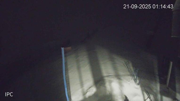 Webcam El Colorado: Pistas 4