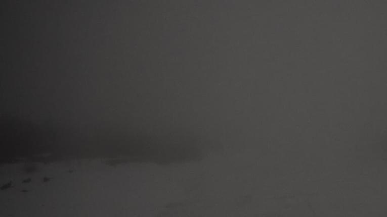 Webcam Elm: Mettmen Alp