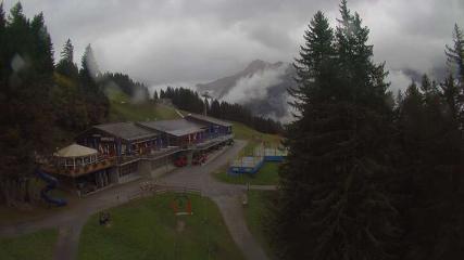 Elm webcam