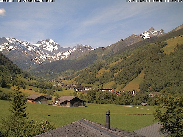 Webcam Elm: Vogelsang