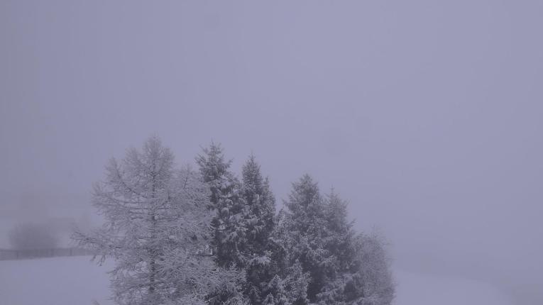 Webcam Elm: Weissenberge