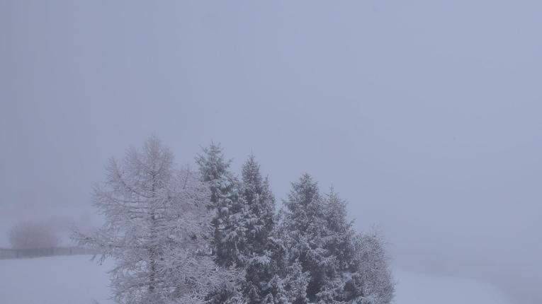 Webcam Elm: Weissenberge