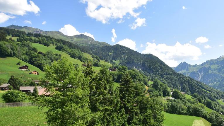 Webcam Elm: Weissenberge