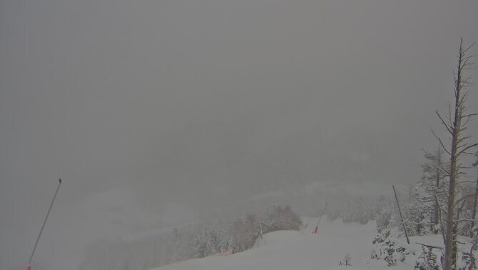 Webcam Espot Esquí: Vista Tv3 Espot