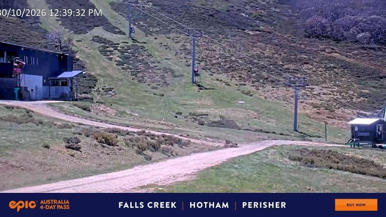 Webcam Falls Creek: Scotts