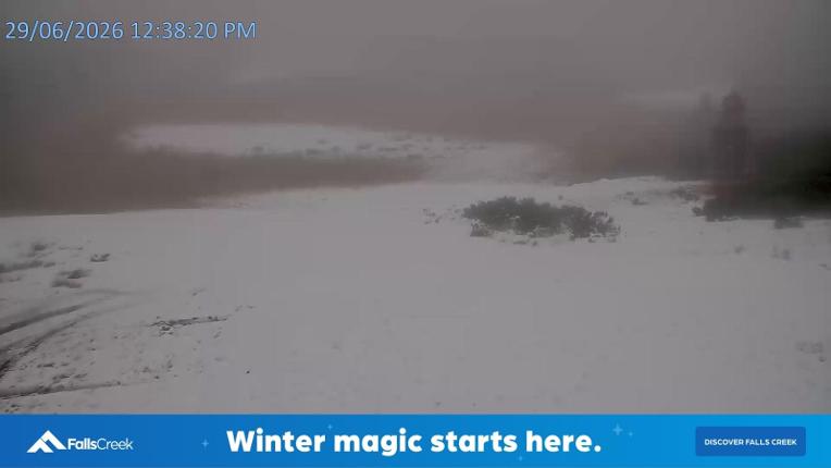 Webcam Falls Creek: Towers