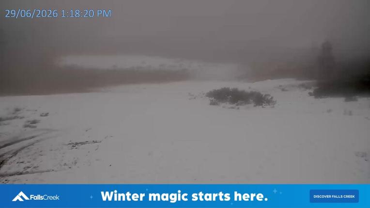 Webcam Falls Creek: Towers