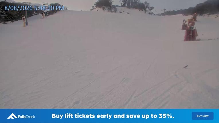 Webcam Falls Creek: Towers
