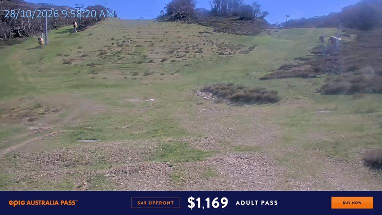 Webcam Falls Creek: Towers