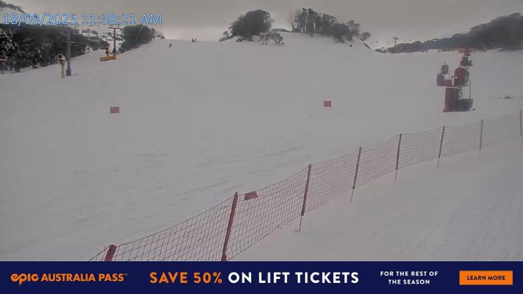 Webcam Falls Creek: Towers