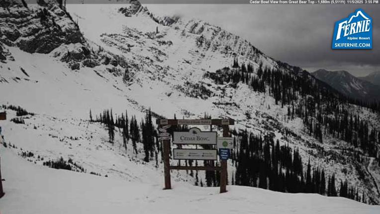 Webcam Fernie: Cedar Bowl