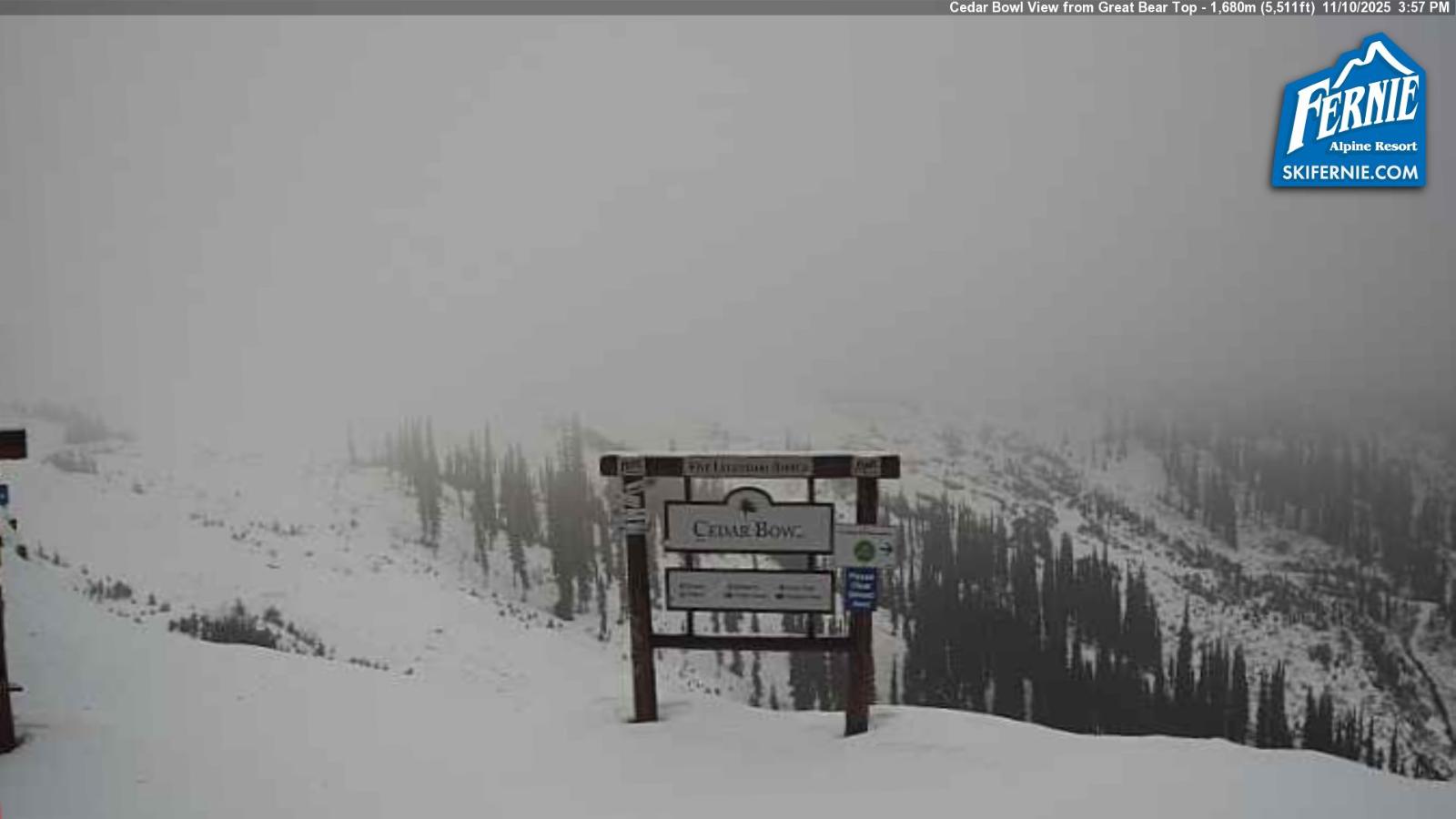 Webcam Fernie: Cedar Bowl