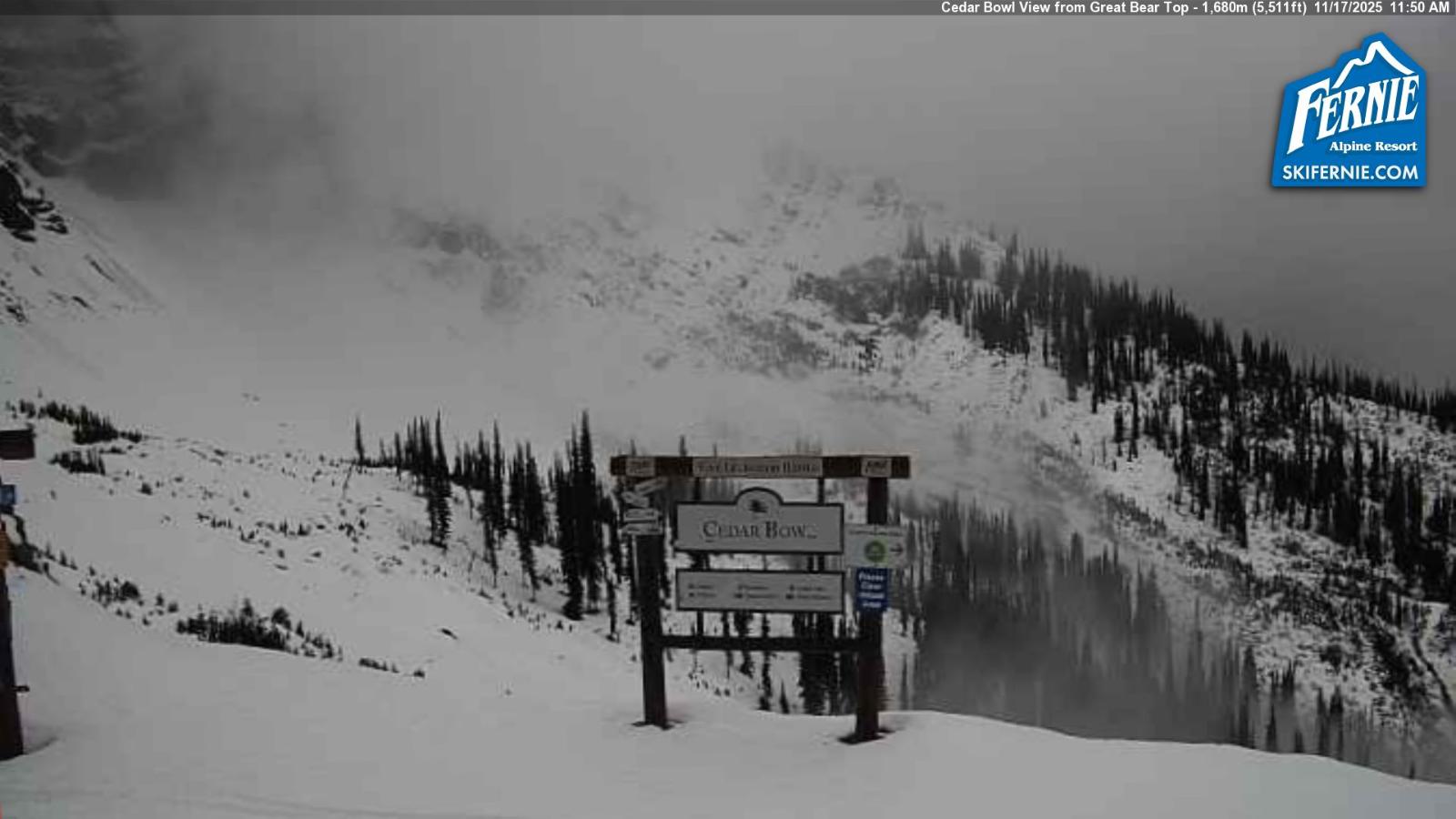 Webcam Fernie: Cedar Bowl