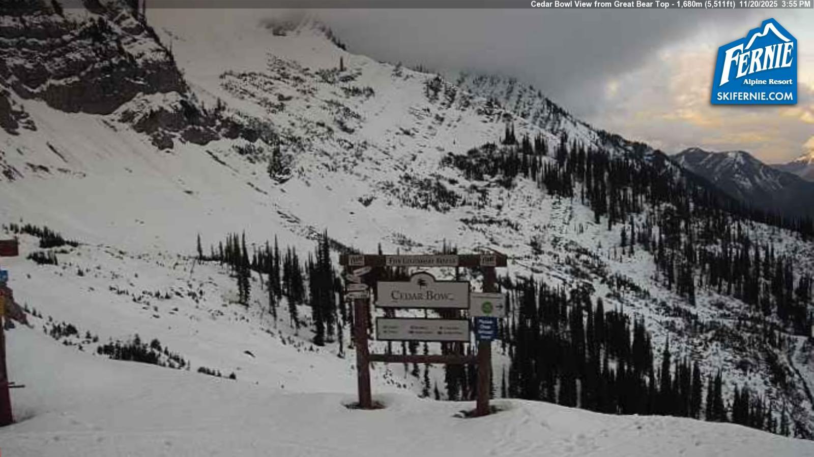 Webcam Fernie: Cedar Bowl