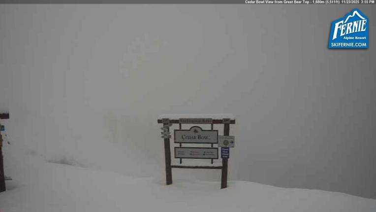Webcam Fernie: Cedar Bowl