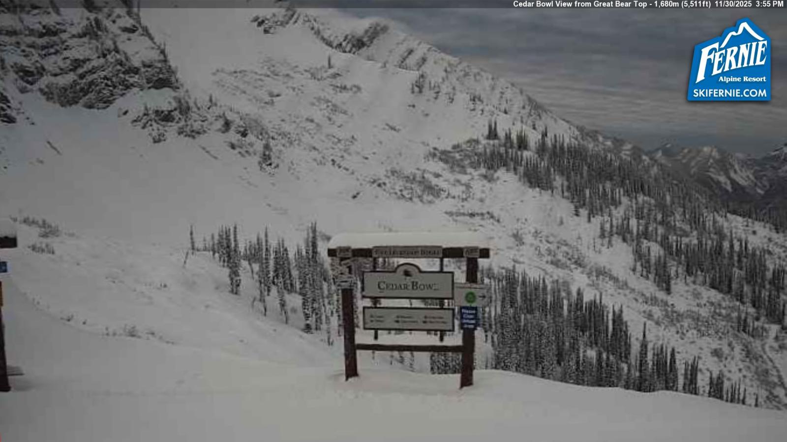 Webcam Fernie: Cedar Bowl