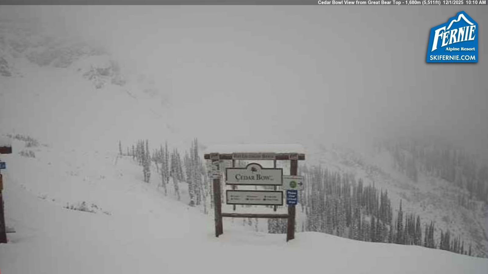 Webcam Fernie: Cedar Bowl
