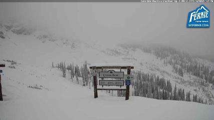 Fernie: Cedar Bowl (skifernie.com)