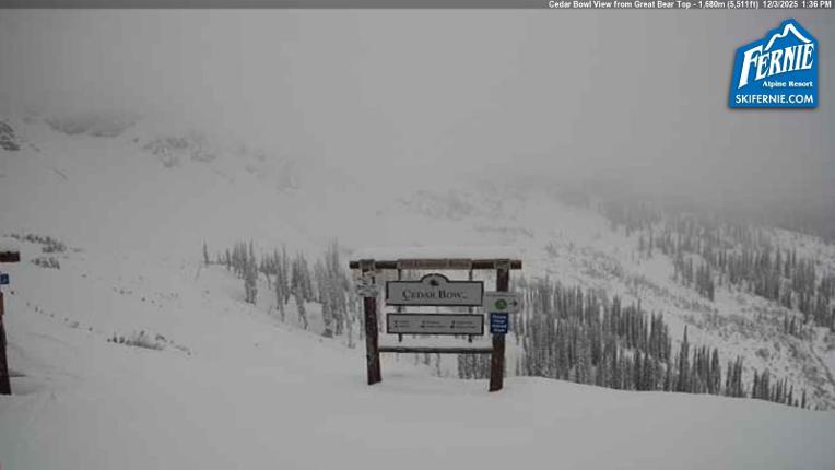 Webcam Fernie: Cedar Bowl