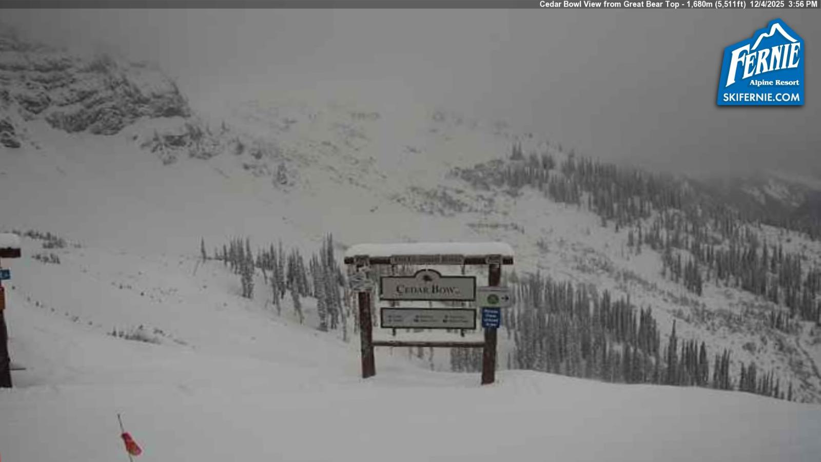 Webcam Fernie: Cedar Bowl