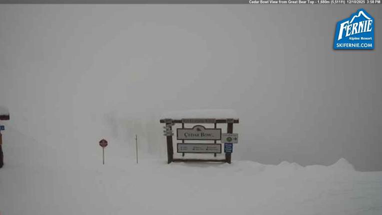 Webcam Fernie: Cedar Bowl