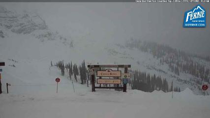 Fernie: Cedar Bowl (skifernie.com)