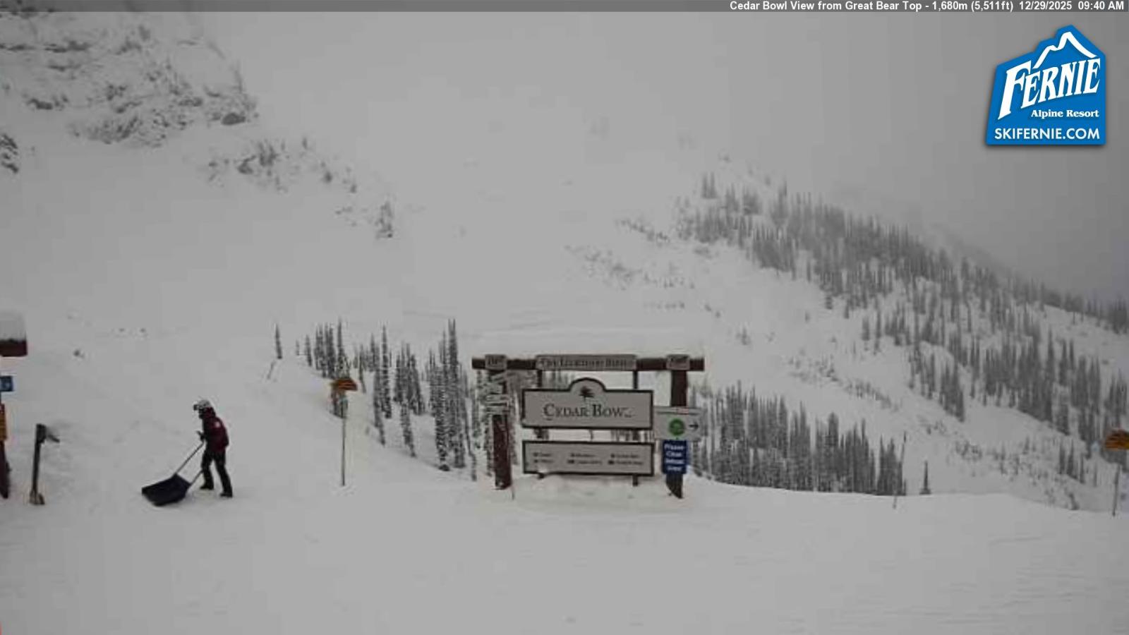 Webcam Fernie: Cedar Bowl