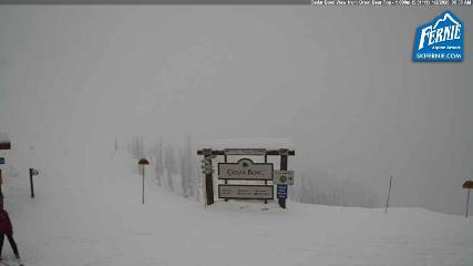 Fernie: Cedar Bowl (skifernie.com)