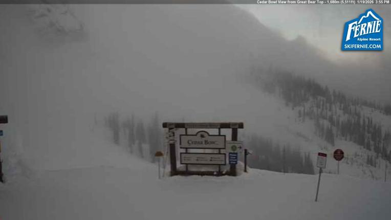 Webcam Fernie: Cedar Bowl