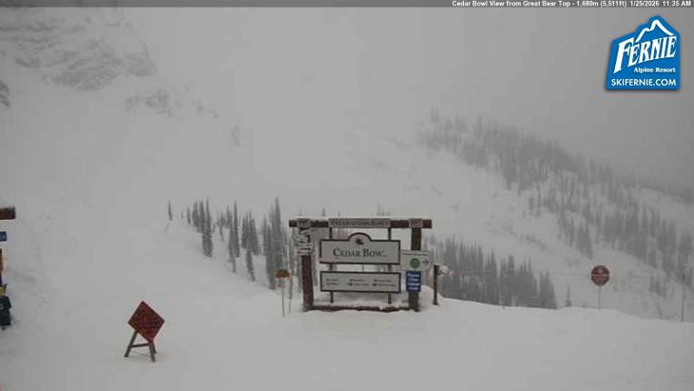 Webcam Fernie: Cedar Bowl