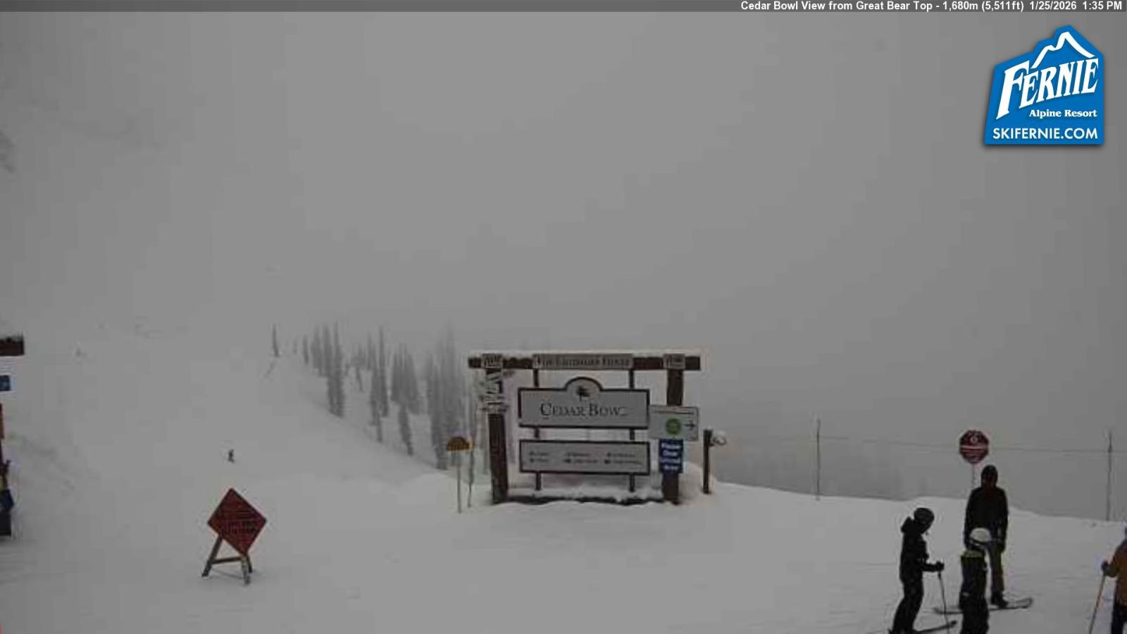 Webcam Fernie: Cedar Bowl