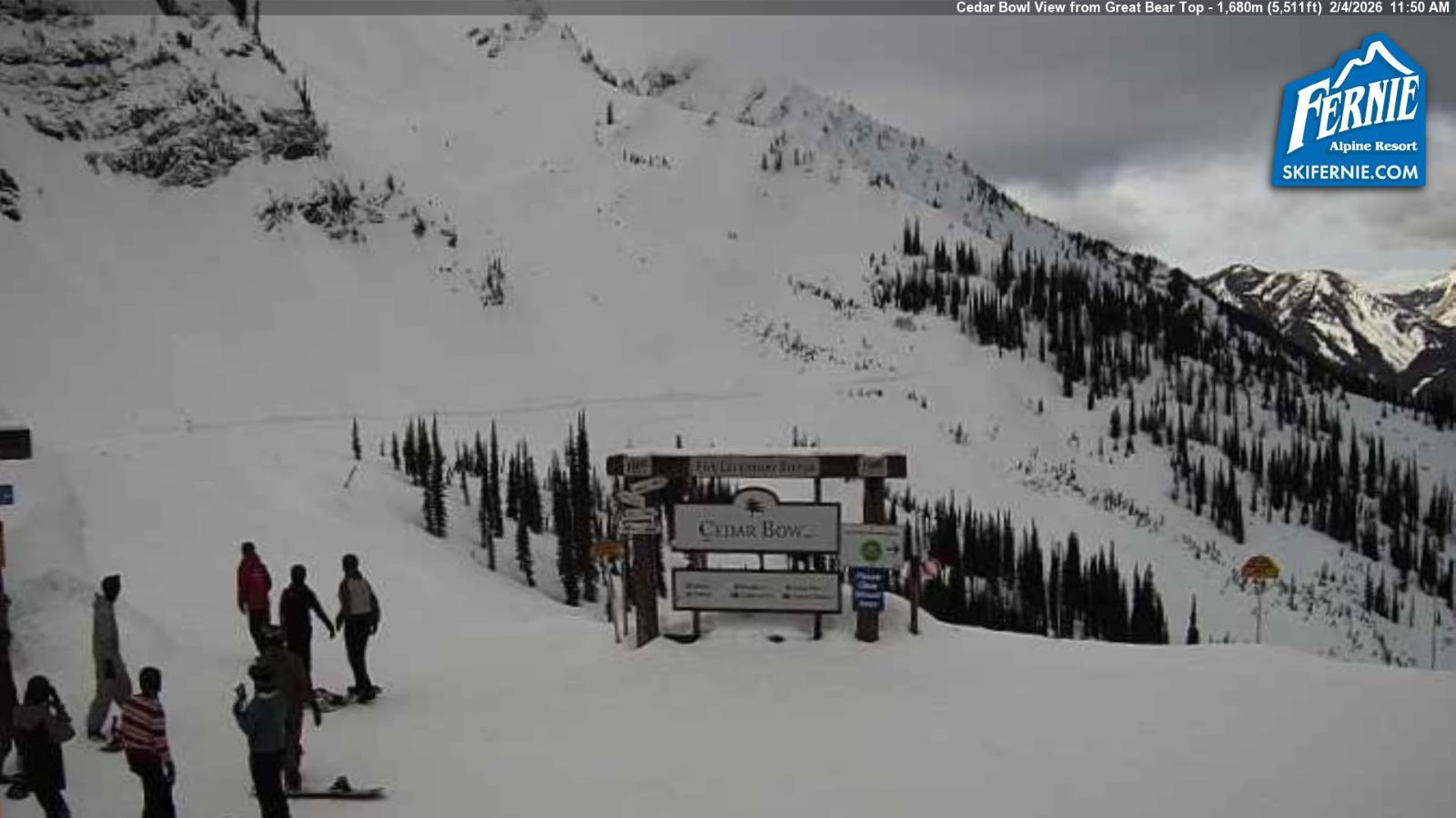 Webcam Fernie: Cedar Bowl