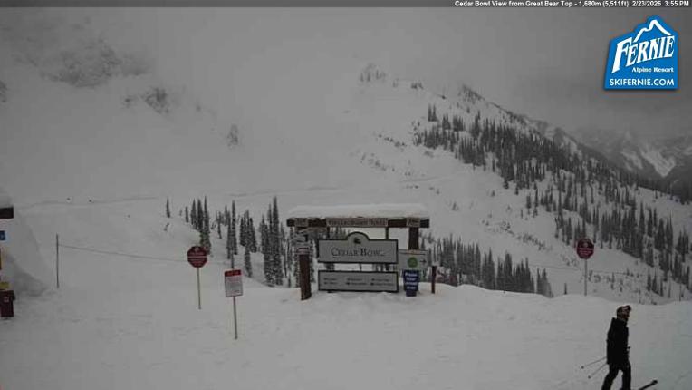 Webcam Fernie: Cedar Bowl